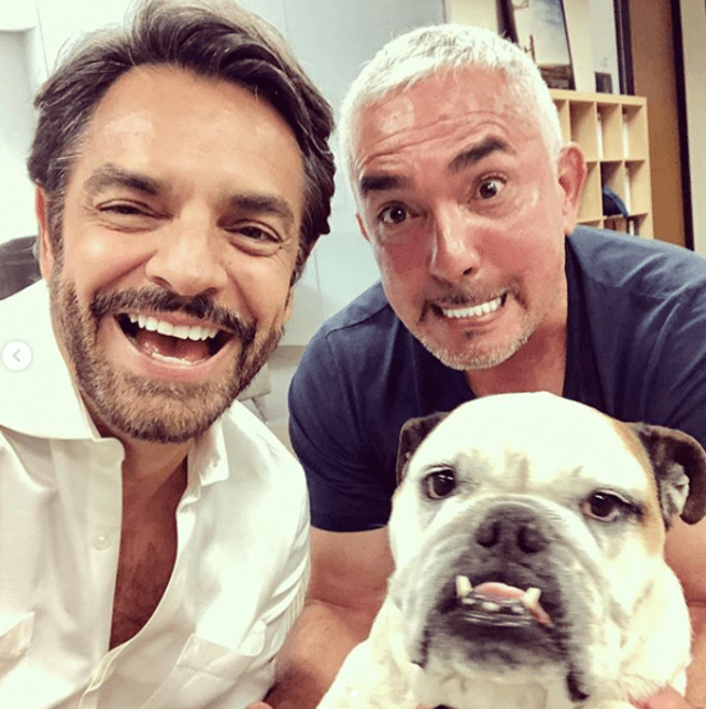 Eugenio Derbez termina con cara desfigurada por defender a perro 