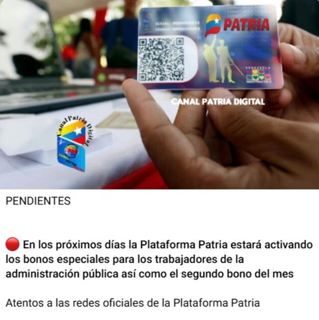 Anuncio sobre los bonos de la patria. Foto: Canal Patria Digital   