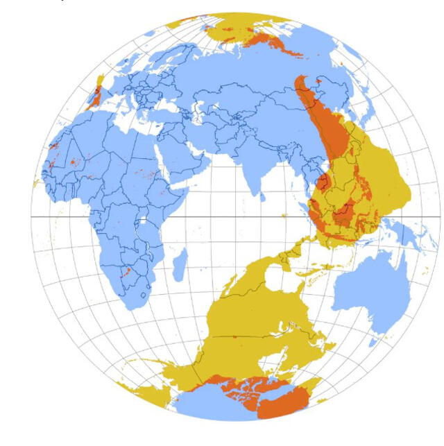 ¿Cómo funciona el mapa que te muestra en qué parte del mundo aparecerás si cavas hacia abajo?