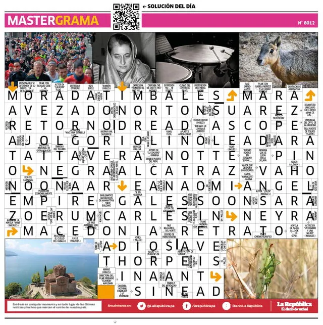  Mastergrama N°8012 