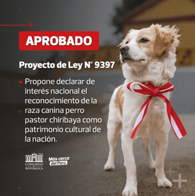  Foto: Congreso de la República   