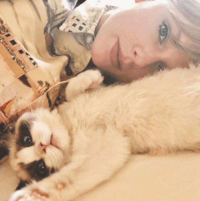 Taylor Swift es una amante de los gatos.