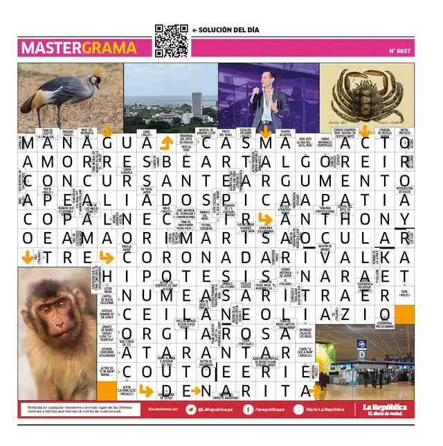 Mastergrama
