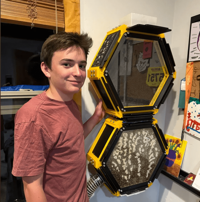 Oliver Taylor calcula que tiene entre 30.000 y 40.000 abejas en su colmena. Foto: Popular Science Oliver Taylor calcula que tiene entre 30.000 y 40.000 abejas en su colmena. Foto: Popular Science