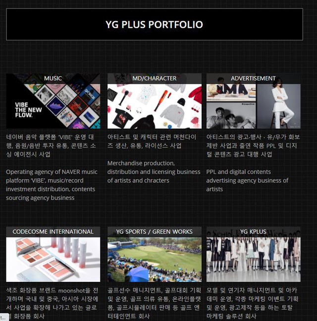 Portafolio de actividades de YG PLUS. Foto: sitio web ygplus.com