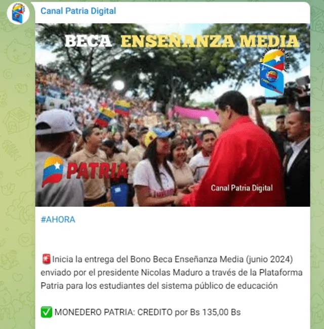 El Bono Beca Enseñanza Media llegó el 11 de junio. Foto: Canal Patria Digital/Telegram