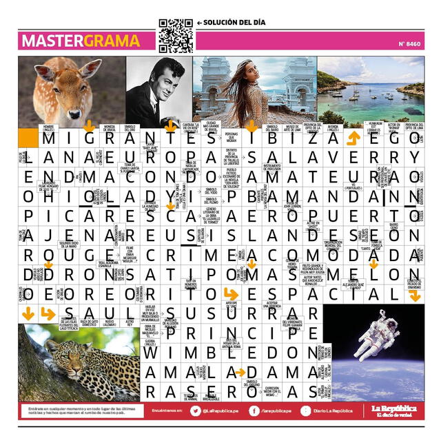 Mastergrama N° 8460 Mastergrama N° 8460