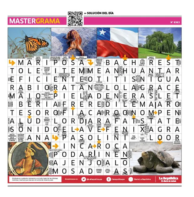  Mastergrama N° 8363   