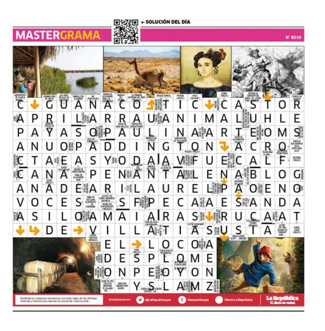 Mastergrama N°8210   