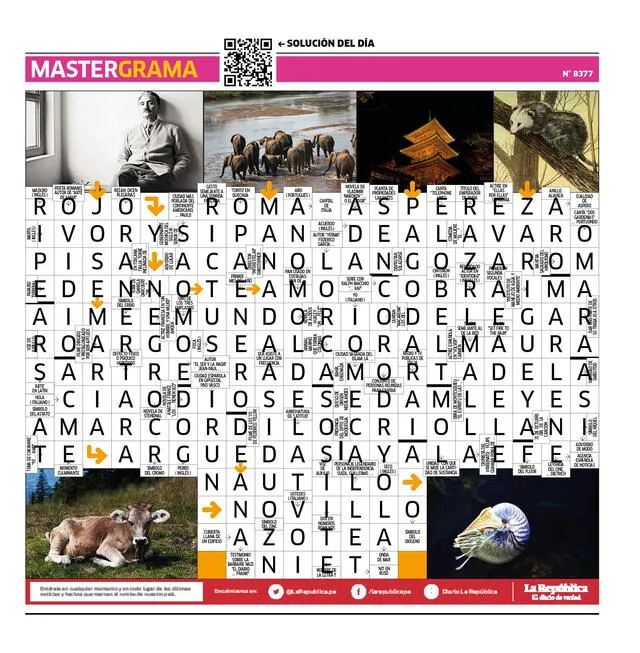  Mastergrama N° 8377 