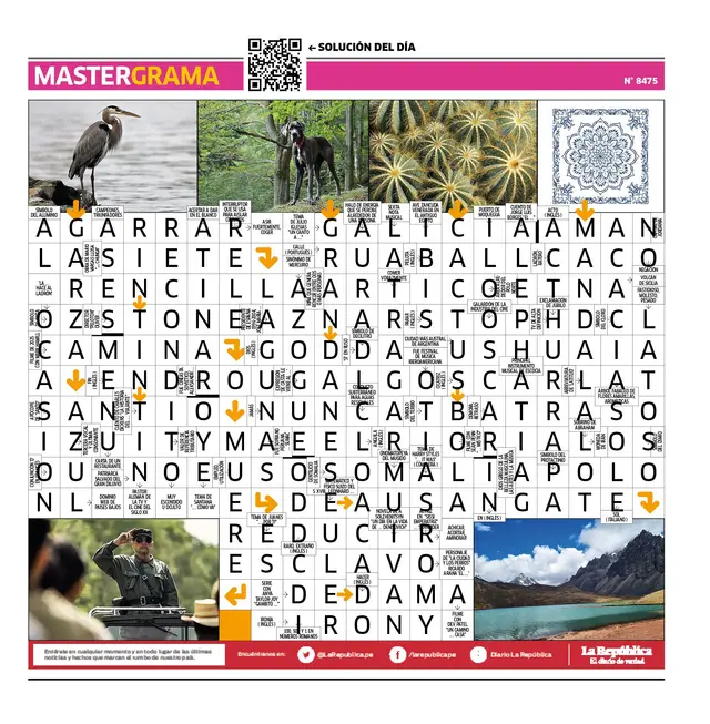 Mastergrama N° 8475 Mastergrama N° 8475