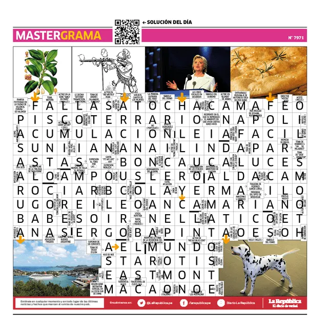  Mastergrama N°7971  