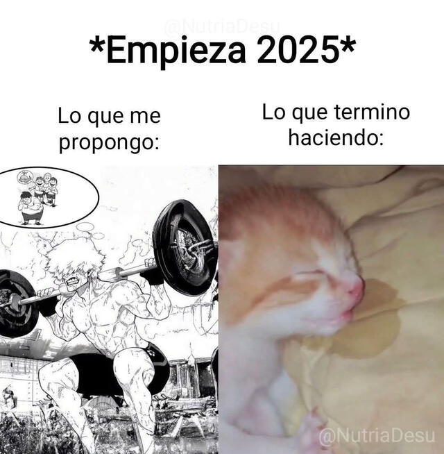 memes | Año Nuevo | 2025 | viral | redes sociales | WhatsApp | humor 