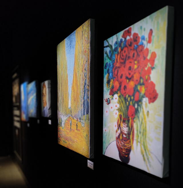 La experiencia ofrece una composición de colores dentro de una galería con las pinturas de Van Gogh. Foto: Mayorit Ortiz   