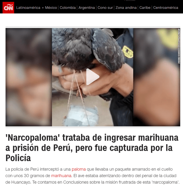 Publicación en el portal CNN en español  hoy, jueves 19 de mayo de 2022. Foto: captura web