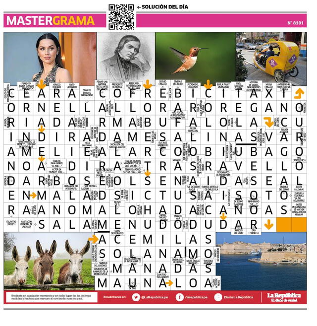 Mastergrama N° 8101   