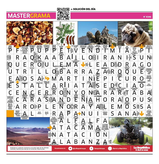  Mastergrama N° 8346 