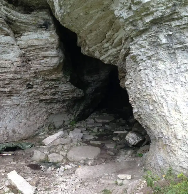 Entrada a la cueva de Stora Förvar en la isla de Stora Karlsö. Foto: Jan Storå/Universidad de Estocolmo Entrada a la cueva de Stora Förvar en la isla de Stora Karlsö. Foto: Jan Storå/Universidad de Estocolmo