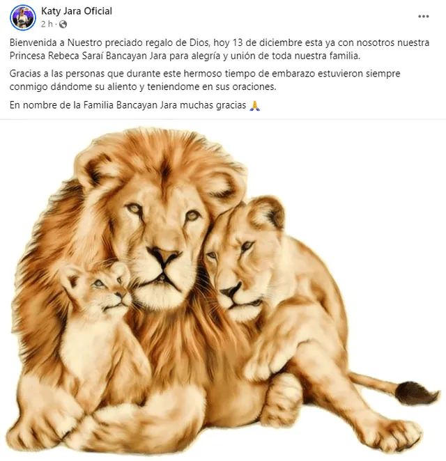 Katy Jara compartió la foto de una familia de leones para dar la noticia de la llegada de su hija. Foto: Katy Jara/Facebook   
