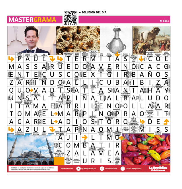  Mastergrama N° 8334   