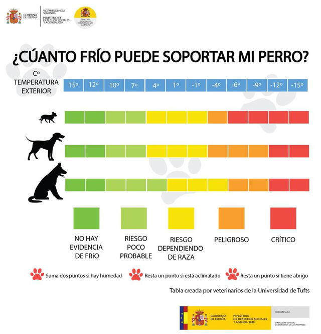 Frío que puede soportar un perro. Foto: captura Universidad de Tufts