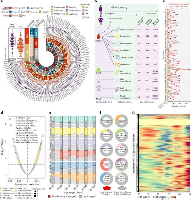  Un grupo de investigadores analizó datos de 108 participantes en un estudio a largo plazo para obtener una comprensión más exhaustiva de los procesos biológicos asociados al envejecimiento Foto: Nature    