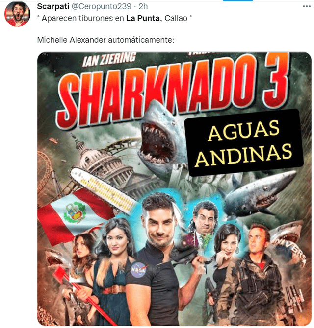 Tiburón avistado en La Punta genera divertidos memes y reacciones en Twitter