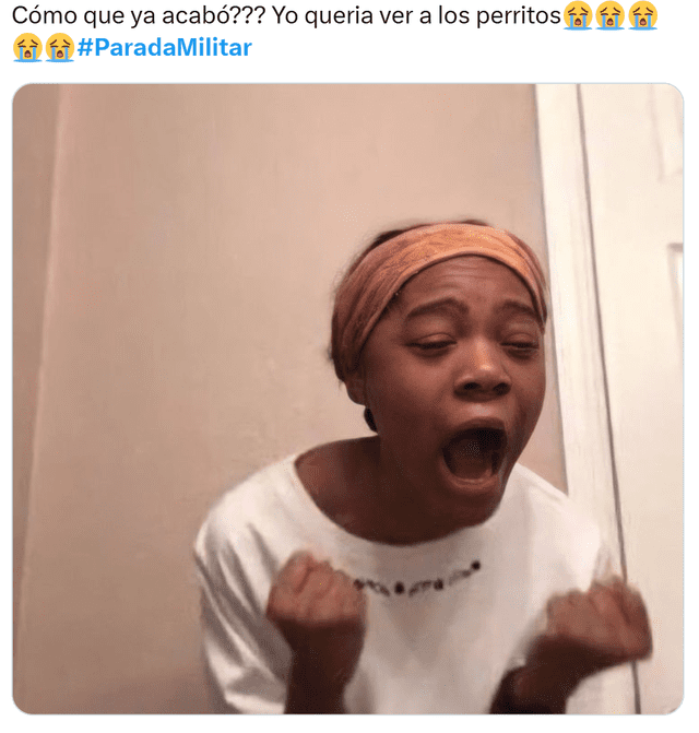 Parada Militar 2025 | Policía Canina | Dina Boluarte Parada Militar 2025 | Policía Canina | Dina Boluarte