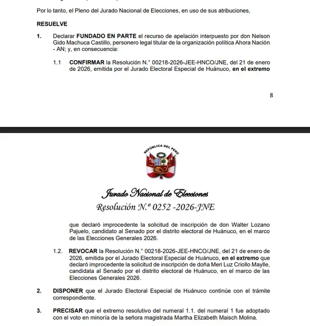  Decisión final del JNE   