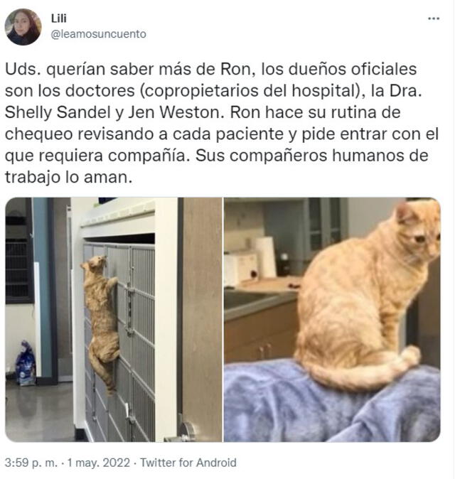 Ron se ha ganado el cariño de varios trabajadores de la veterinaria. Foto: captura de Twitter