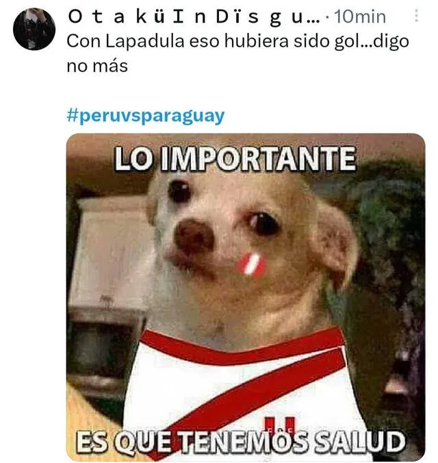  Divertidos memes que dejó Perú vs. Paraguay. Foto: Twitter   