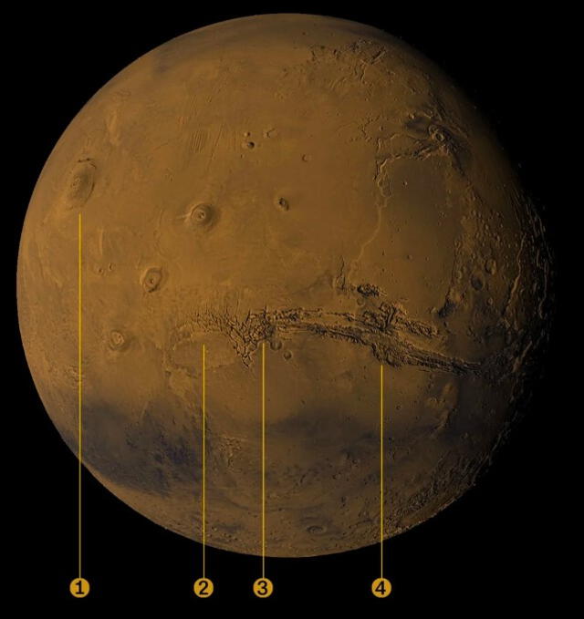  Algunos de los volcanes más grandes de Marte: Olympus Mons, la meseta de Tharsis, Noctis Labyrinthus y Valles Marineris. Foto: SVS/CNN<br>    