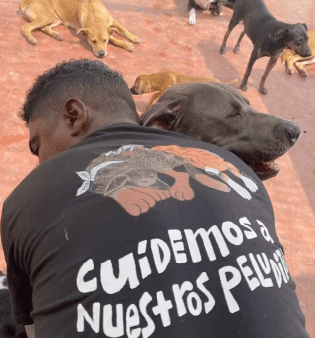 Choco ha ayudado en varias campañas para mejorar la vida de los perritos. Foto: captura de Instagram / @joseluis.matos.7906