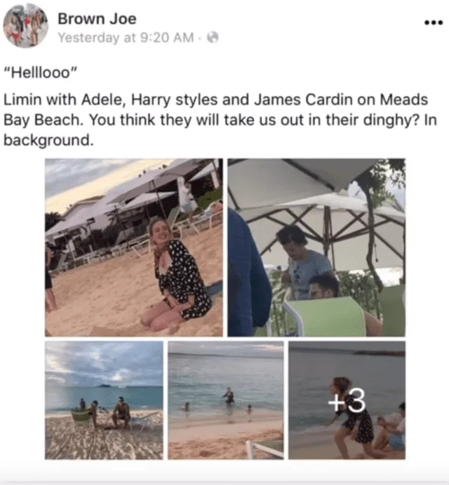La redes difundieron las fotos donde Adele y Harry Styles compartieron un día de playa.