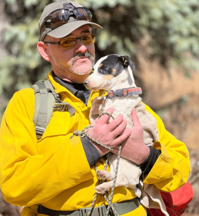 Finney, un jack russell terrier, fue hallado bastante delgado por equipos de búsqueda en Estados Unidos. Foto: Archuleta County Sheriff/Outside   
