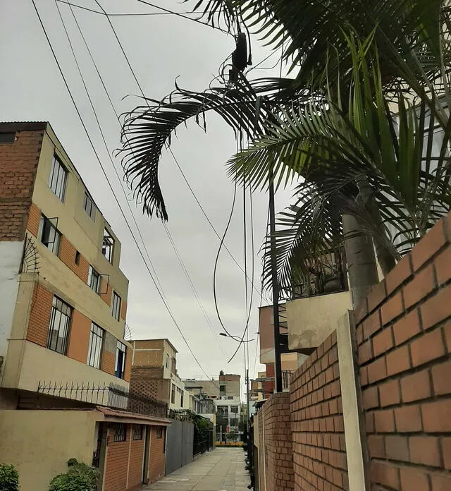 Es preferible que los transeúntes eviten tocar o rozar los cables que cuelgan del tendido eléctrico. Foto: La República    