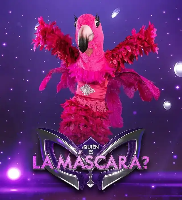 flamenco quien es la mascara chile