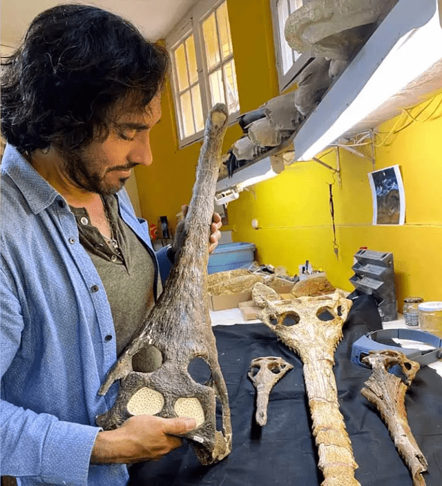  El paleontólogo peruano Rodolfo Salas-Gismondi con el fósil de un cocodrilo prehistórico hallado en las costas peruanas. Foto: UPCH   