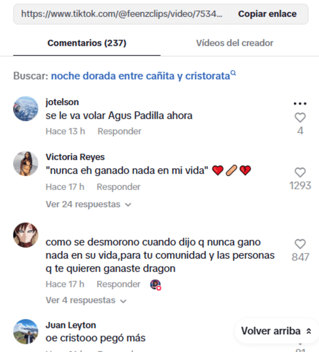 Comentarios en TikTok. Foto: TikTok/feenzclips   