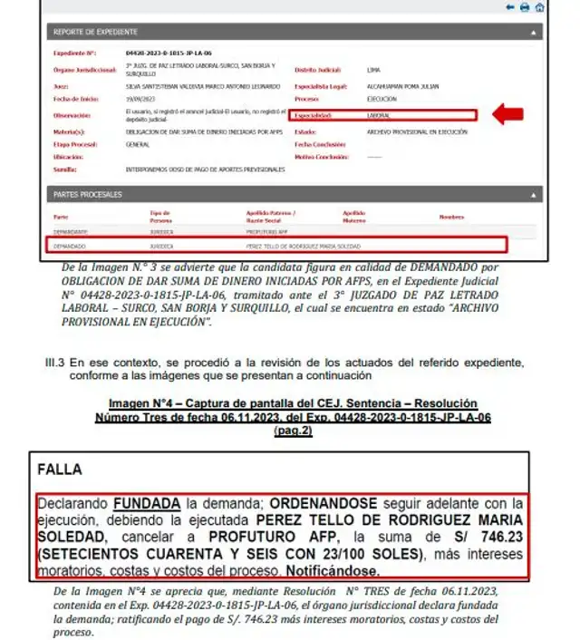 Informe del JEE sobre Marisol Pérez Tello Informe del JEE sobre Marisol Pérez Tello