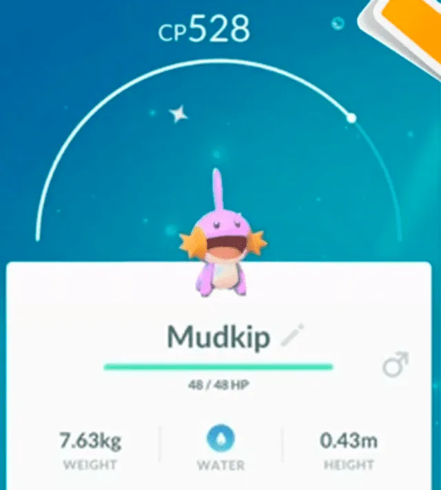 Mudkip Shiny