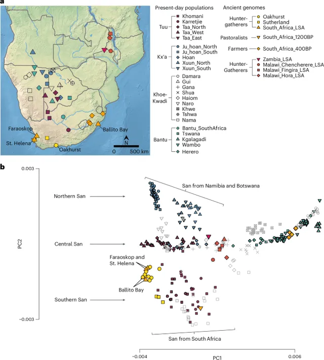 La investigación llevada a cabo en Oakhurst representa un avance fundamental para comprender la intrincada historia genética de los pobladores del sur de África. Foto: Nature   