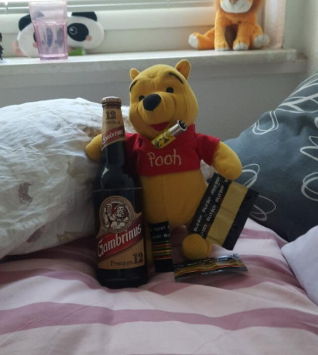 El oso de peluche de Winnie Pooh fue usado con diversos objetos para hacer reír a su dueña. Foto: captura de Twitter
