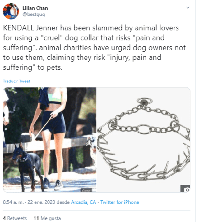 Kendall Jenner es acusada de maltrato animal.