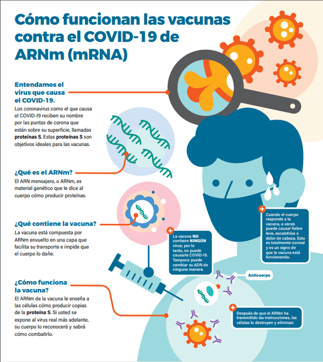 Cómo funcionan las vacunas de ARN mensajero. Foto: Centro para el Control y Prevención de Enfermedades de EE. UU.