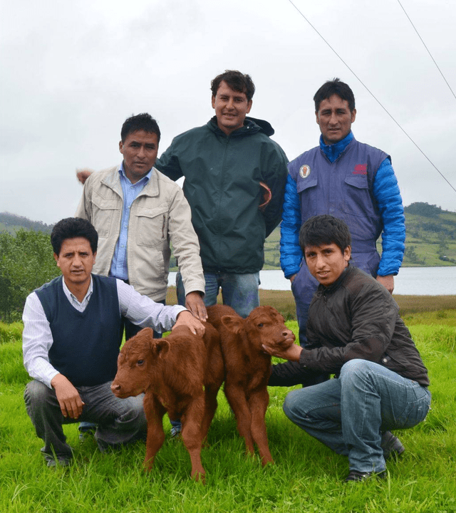  Alma C-I, el primer bovino clonado en Perú. Foto: UNTRM   