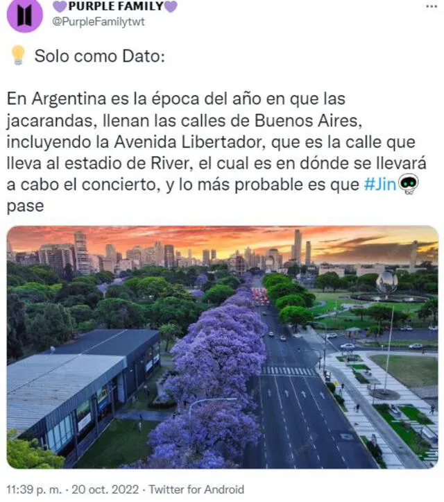 Jacarandas en Argentina, jin, concierto