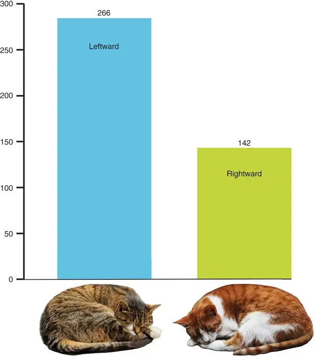  La mayoría de los gatos preferían acostarse sobre su lado izquierdo. Foto: Current Biology   