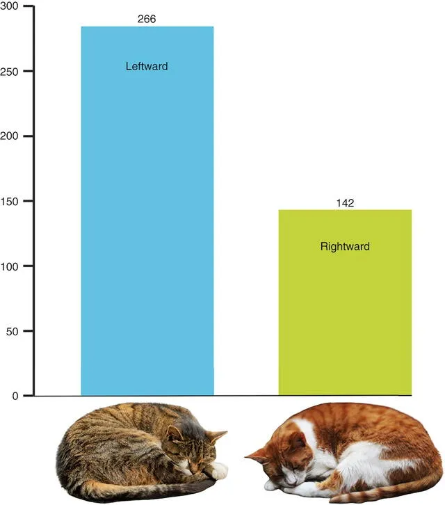 La mayoría de los gatos preferían acostarse sobre su lado izquierdo. Foto: Current Biology La mayoría de los gatos preferían acostarse sobre su lado izquierdo. Foto: Current Biology