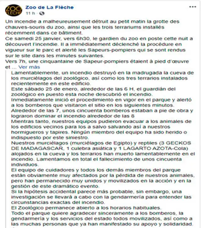 “El equipo de cuidadores y todos los demás miembros del parque están obviamente muy afectados por la pérdida de nuestros animales, pero han permanecido muy unidos ”, se lee en parte del comunicado. Facebook: Zoo de La Flèche.